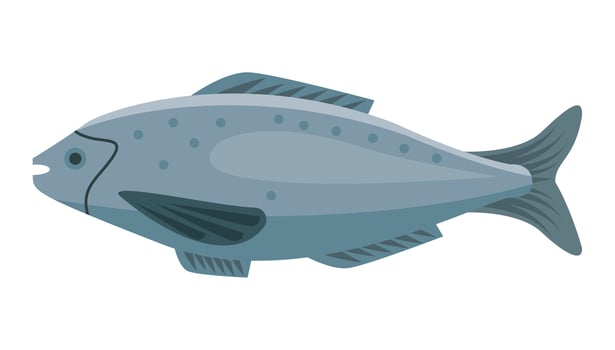 fresh fish food vector