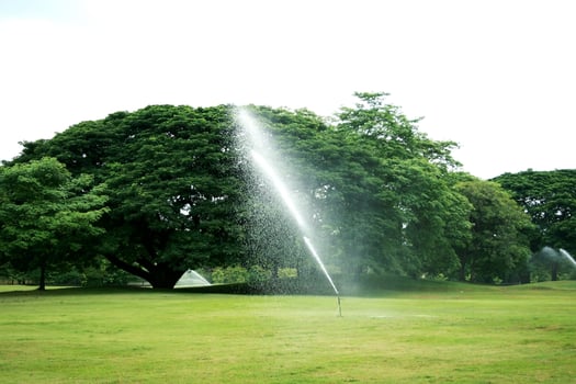 Fountains in the park photo