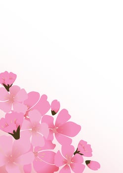 Abstract Floral Sakura Flower Japanese Natural Background Vector Illustration