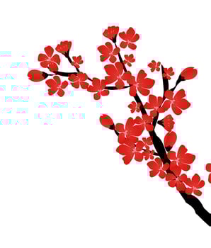 Abstract Floral Sakura Flower Japanese Natural Background Vector Illustration