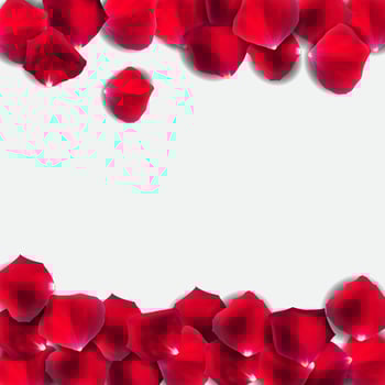 Abstract Natural Rose Petals Background Realistic Vector Illustration