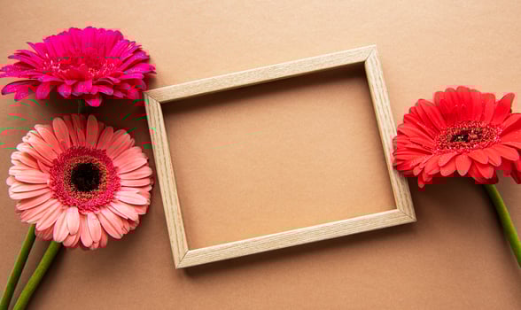 Wooden frame surrounded by beautiful gerbera flowers on a light brown background, top view, copy space, flat lay. photo