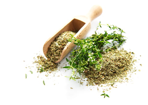 Fresh and dry thyme on white background photo