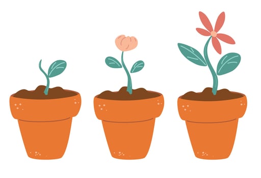Process of flower growth Vector image of three stages of growth of a beautiful flower  in a brown pot Plant growing stages Harvest product offspring Growing process vector flat icon
