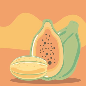 papaya fresh fruit organic healthy food vector