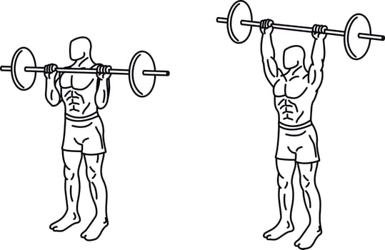 Push press Exercises and training with weights vector