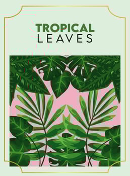 tropical leaves lettering poster with leafs in green background vector