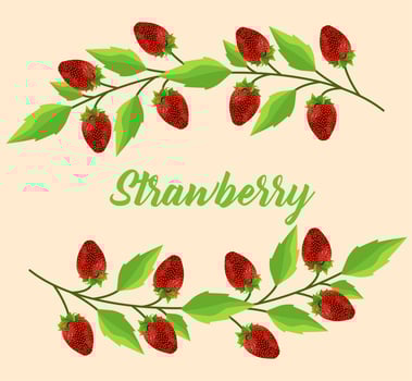 fresh strawberries fruits poster with lettering vector