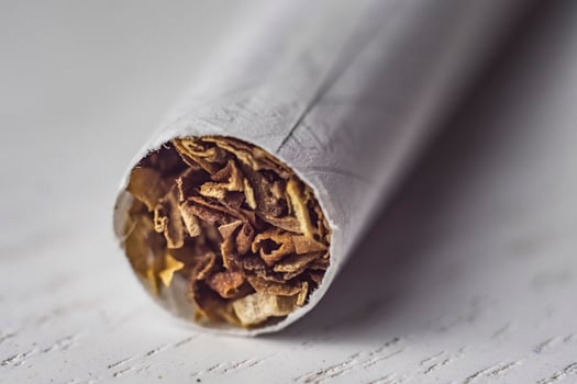 Cigarette macro on White background wallpaper photo