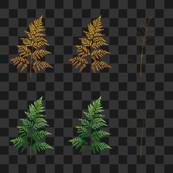 set golden fern and palm on isolated vector