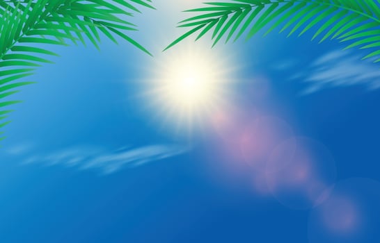 Sun and Light Flare Background vector