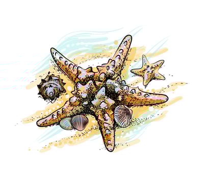 Starfish and shells on a summer beach in the sand from a splash of watercolor hand drawn sketch Vector illustration of paints