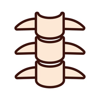 spine bones body human part flat style vector