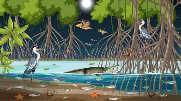 Mangrove forest landscape scene at night with many different animals vector