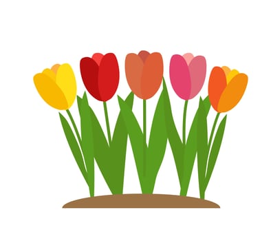Simple Tulips Flower. Vector Illustration