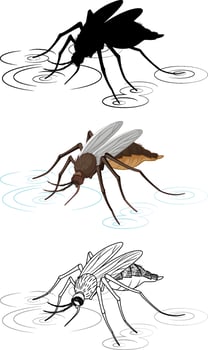 Set of mosquito in silhouette and colour and doodle vector