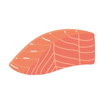 salmon slice food vector
