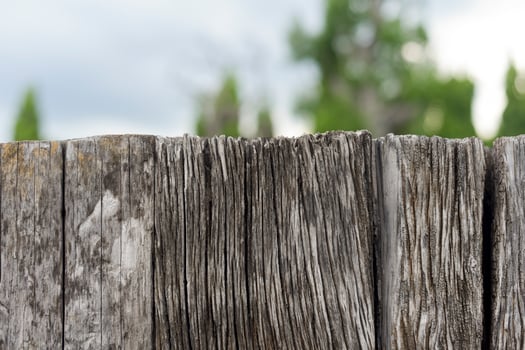 Old wood texture background photo