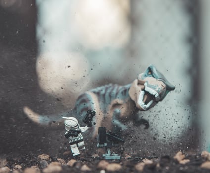 Warsaw, 2020 - lego star wars minifigure photo
