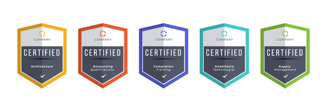 Certified logo badge. Criteria level digital certificate with shield logo line. vector illustration icon secure template.