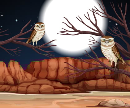 Desert with rock mountains and burrowing owl landscape at night scene vector