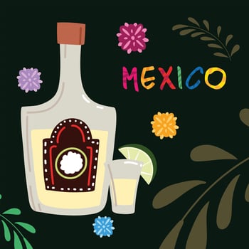 mexico label with tequila bottle, traditional Mexican drink vector