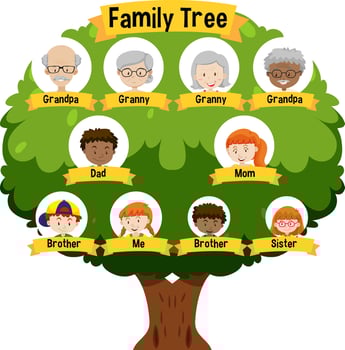 Diagram showing three generation family tree vector
