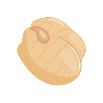 potatoes tuber fresh isolated icon vector