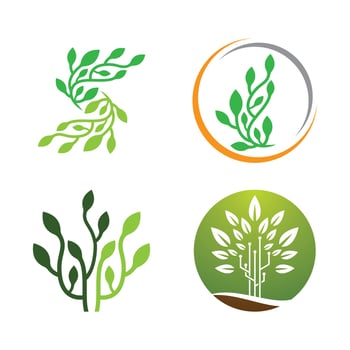 Tree logo images design vector