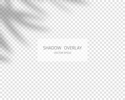 Shadow overlay effect. Natural shadows isolated on transparent background. Vector illustration.