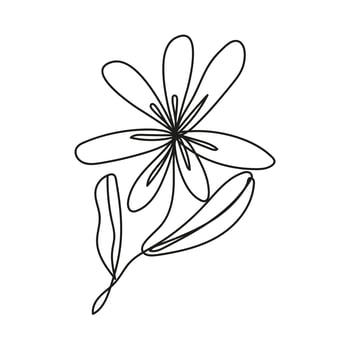 flower plant one line style icon vector