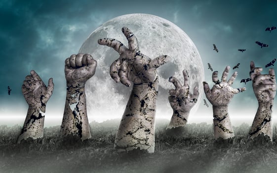 The concept of Halloween with zombies rising from the graveyard. photo