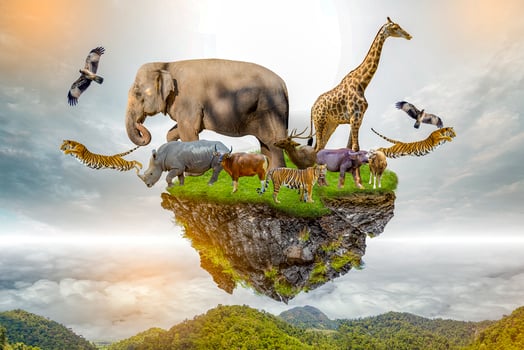 Wildlife Conservation Day Wild animals to the home. Or wildlife protection photo