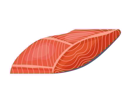 salmon slice icon vector