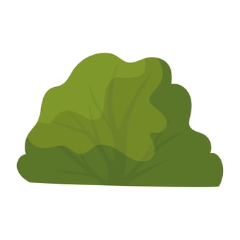green bush in a white background vector