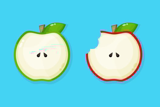 Slice of apple icon illustration vector