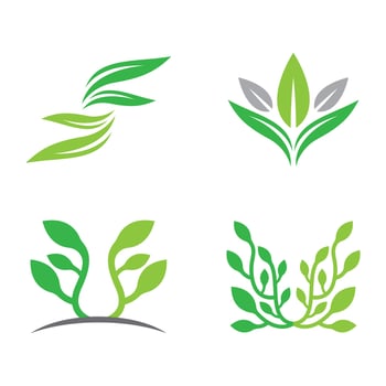 Leaf logo images vector