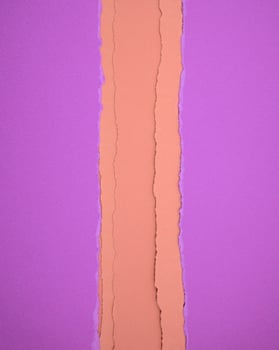 Hopbush purple color papers with burnt yellow torn papers texture abstract background. photo