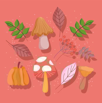 happy thanksgiving autumn leaves mushroom pumpkin leaves foliage icons vector