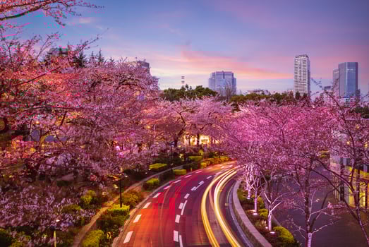 Night view of Tokyo midtown in Roppongi, Japan photo