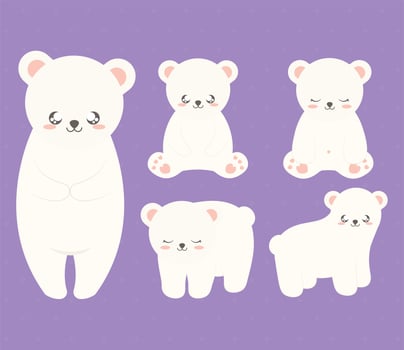 five cute bears vector