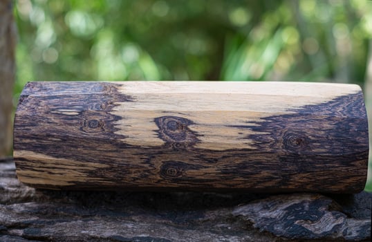 Burma black wood photo