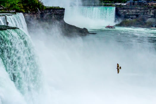 Niagara Falls 2017 photo
