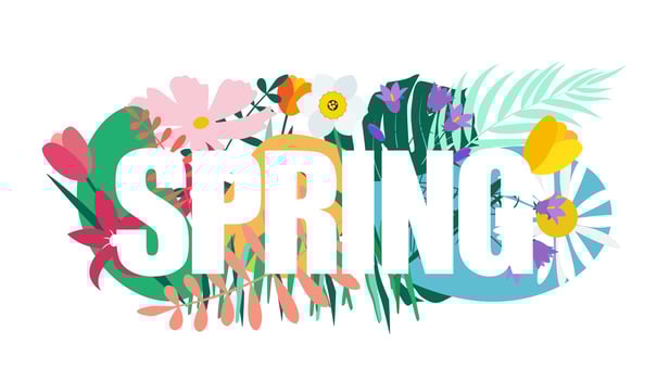 Natural Flowers Spring Background Vector Illustration