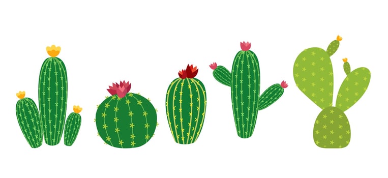 Cactus Icon Collection Set Vector Illustration