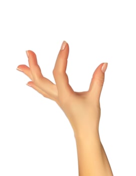 Realistic hand posing vector