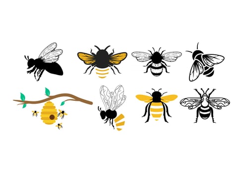 Bee honey icon design template vector illustration