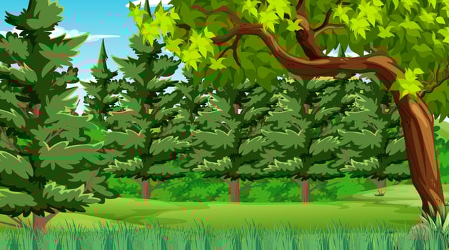 Forest scene with various forest trees and many pine trees vector