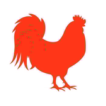 Vector Illustration of Red Fire Rooster, Symbol 2017 Year on