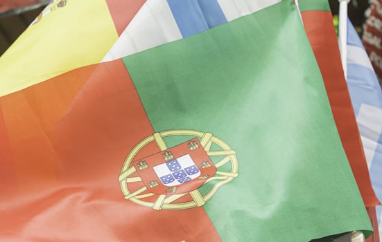 Flag of Lisbon and Spain photo